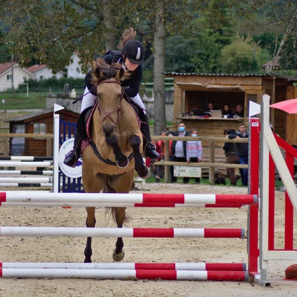 Ecurie DLM - photo 3