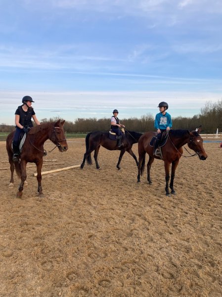 Écurie des Sablons - photo 1