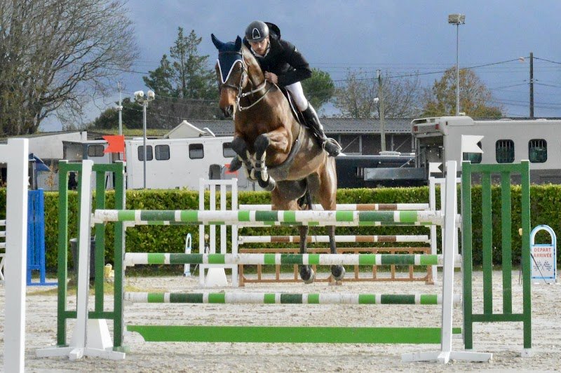 Écurie des Sablons - photo 2