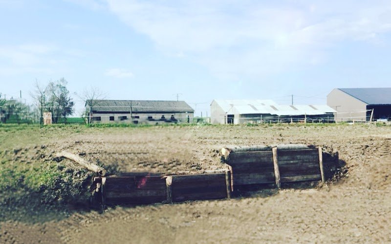 Écurie des Sablons - photo 3