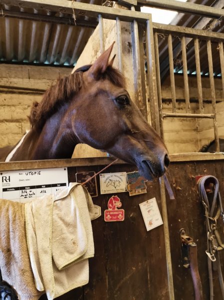 Les écuries des sablons - photo 3