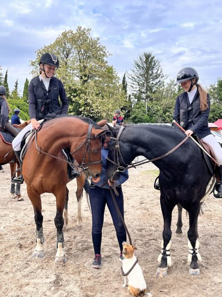 Ecurie Julia Blondel - photo 2