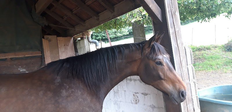 Haras des Sables - photo 1