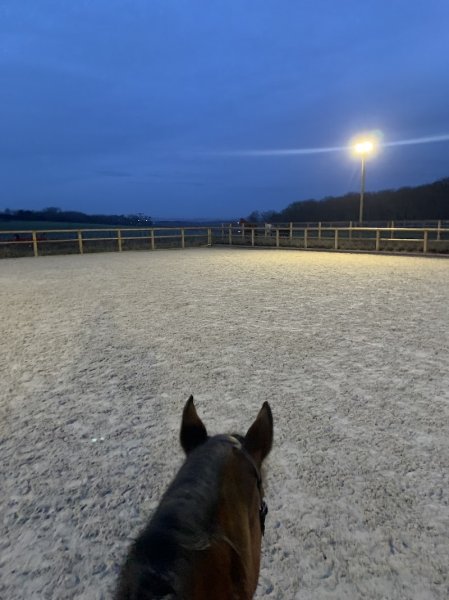 Écurie active, pension stabulation et boxe. Écuries de la Valaine - photo 2