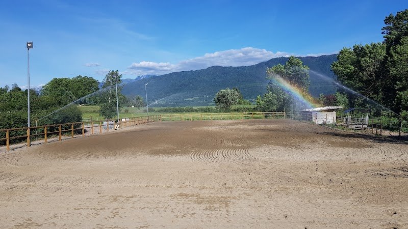 Ecuries du Zéphyr pension pour chevaux - photo 1