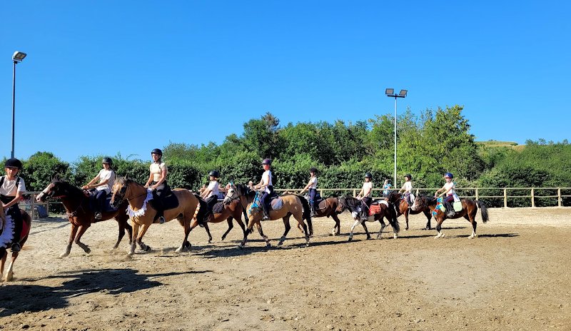 Ecuries du Zéphyr pension pour chevaux - photo 3
