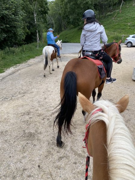 Centre équestre les 2 Alpes / Prej'Alpes - photo 3