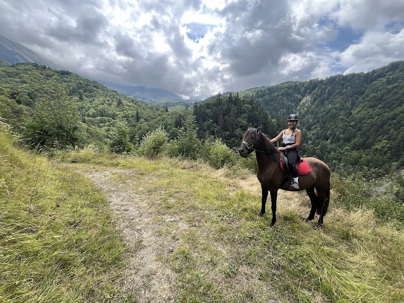 Soi EQUESTRE - photo 2