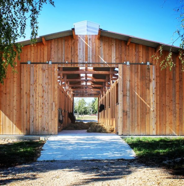 Haras de la Colombe - photo 1