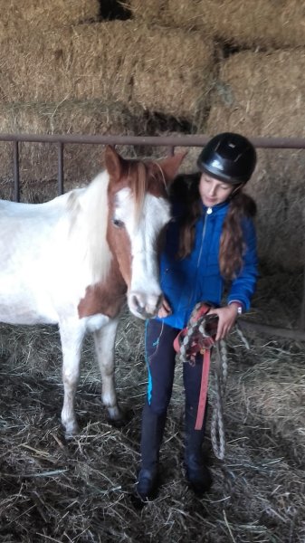 Haras de Valy - photo 1