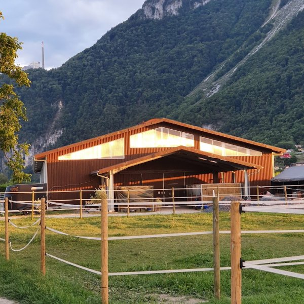 Ecurie de la Praille, pension pour chevaux - photo 1