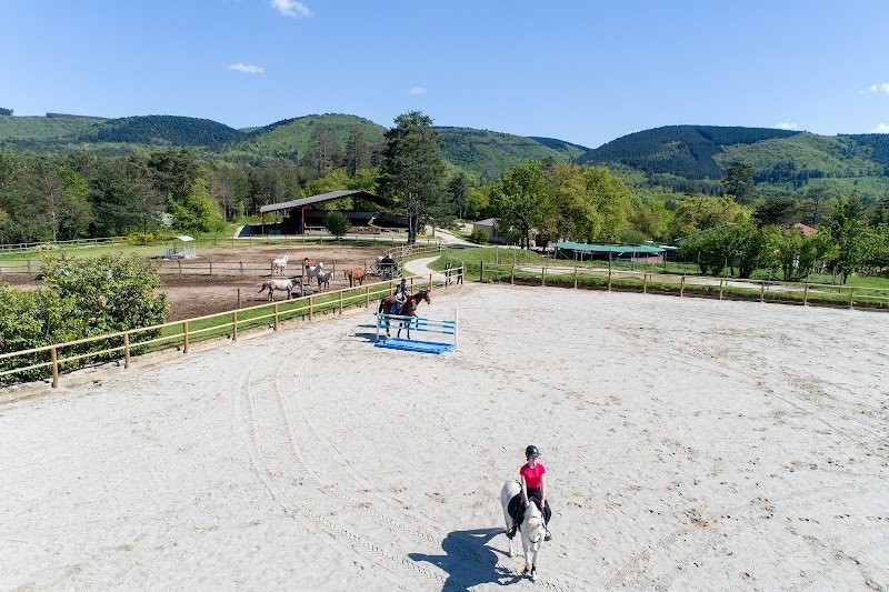 Haras des Lacs, centre équestre à St Ferréol-Revel - photo 2