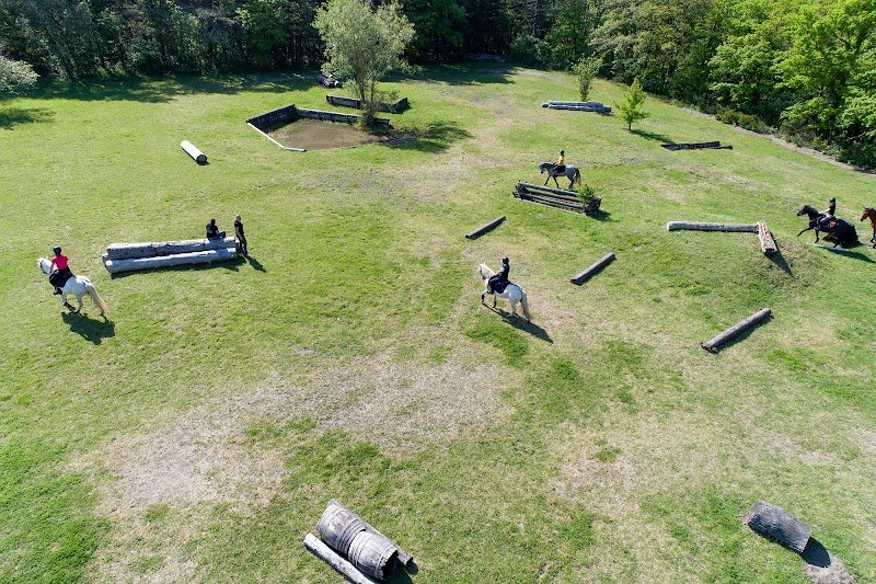 Haras des Lacs, centre équestre à St Ferréol-Revel - photo 3