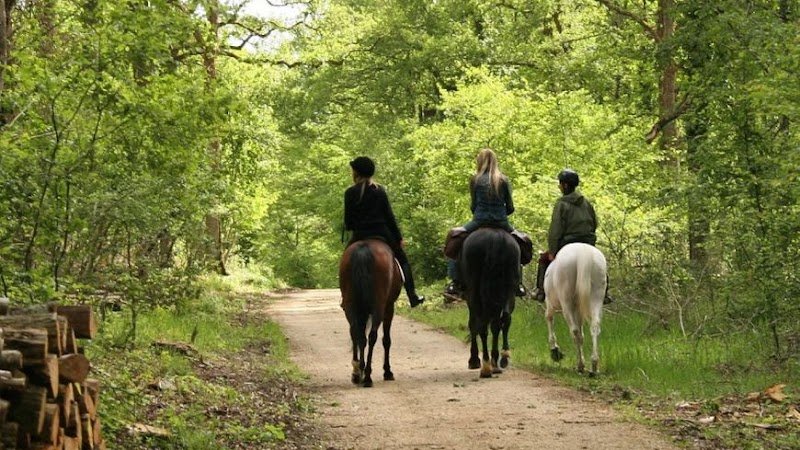 Écurie Horseland - photo 1