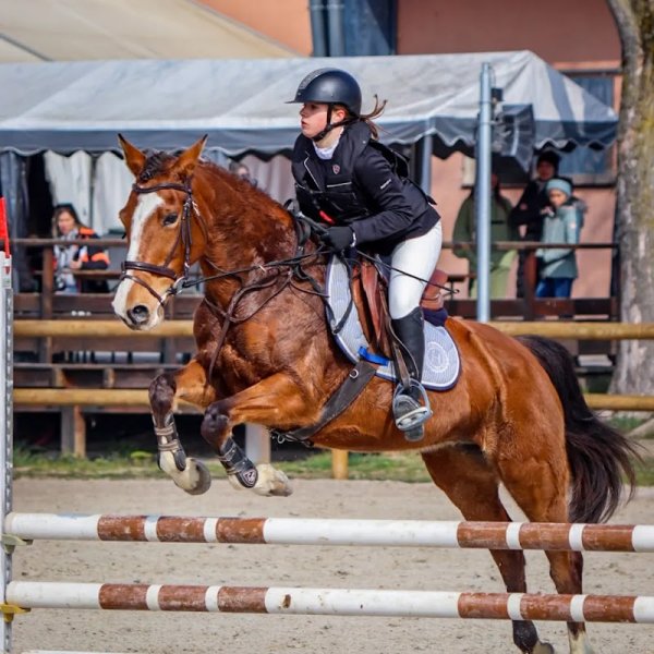 CLUB HIPPIQUE DE TARAVAS - photo 2