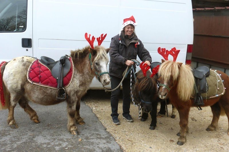Les Poneys de Magali - photo 2