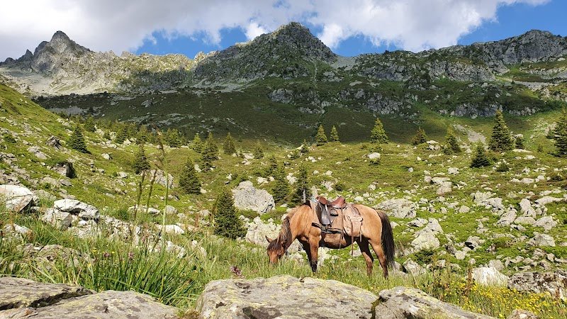 Les chevaux des crêts - Balade à cheval à Laval en Belledonne - photo 2