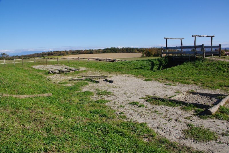 Sermet Quarter Horses - photo 2