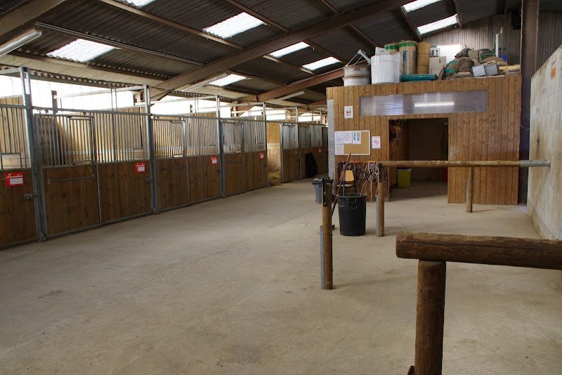 Sermet Quarter Horses - photo 3