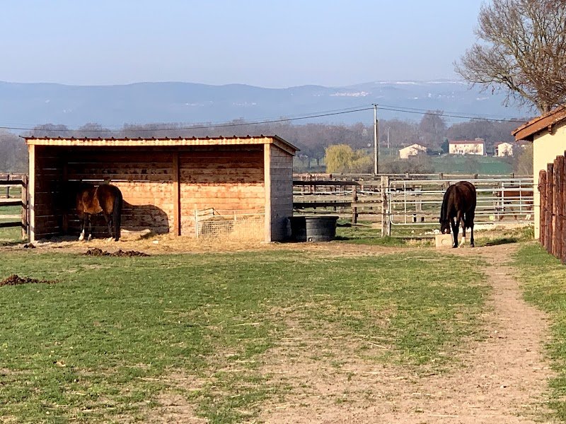 Loliban's Écuries - photo 1