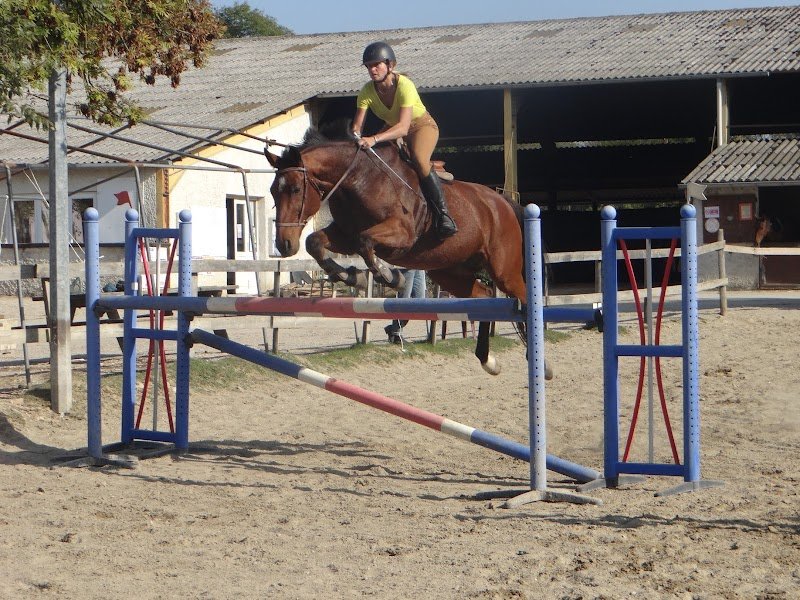 A Cheval Bien Etre - photo 2