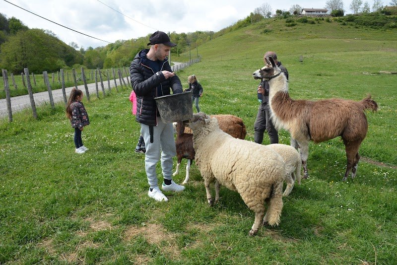 Ferme les poneys de la Durme