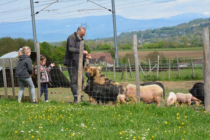 Ferme les poneys de la Durme - photo 2