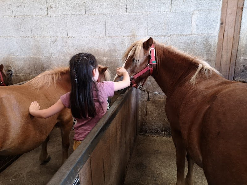 Centre Equestre La Rivière - photo 2