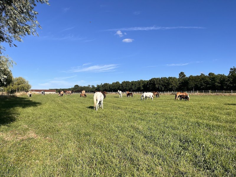 Écurie du Domaine de la Rivière - photo 2