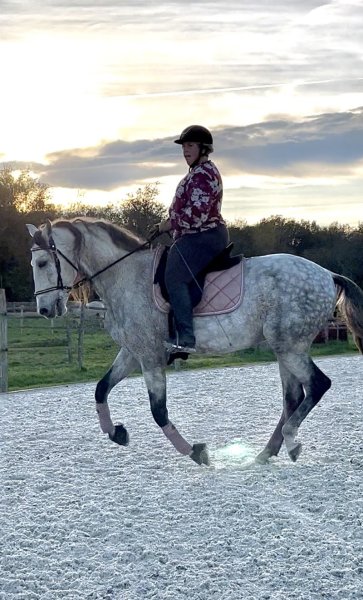 Écurie du Domaine de la Rivière - photo 3