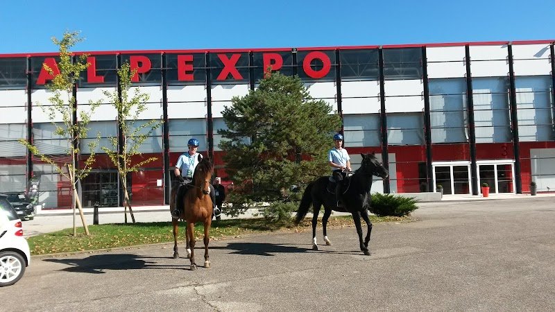 Gardiennage et Protection à Cheval - photo 2
