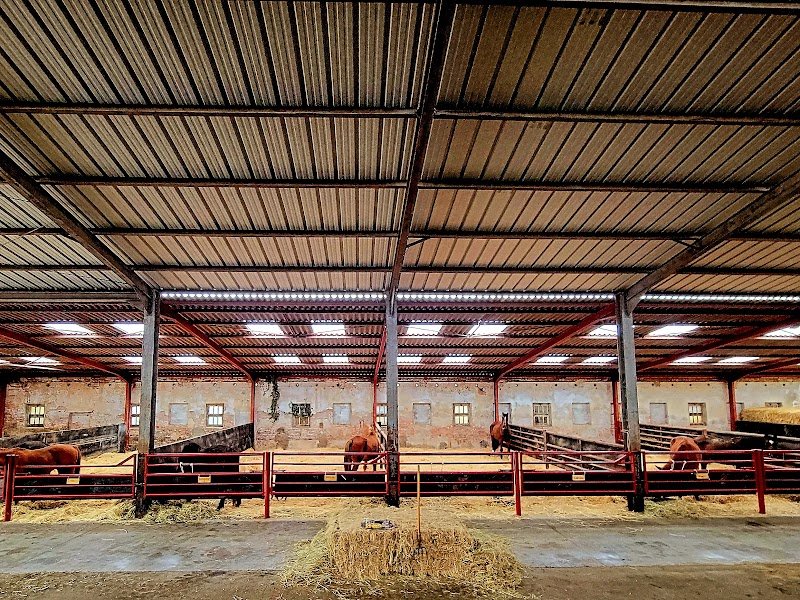 Ecurie des Pierres Bleues - pension chevaux retraite - photo 2