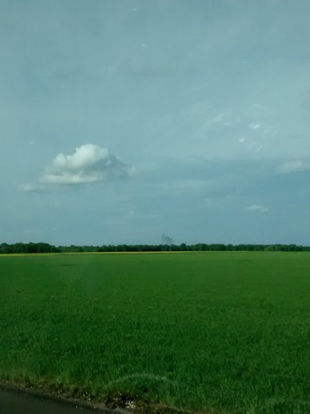 Ecuries Les Pierres Arrachées