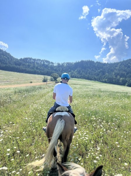 Equi'Dira balade et randonnée à cheval en Trièves - photo 2