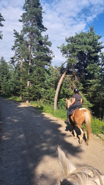 Equi'Dira balade et randonnée à cheval en Trièves - photo 3