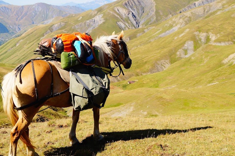 Ferme Équestre Le Chalet Des Vignobles