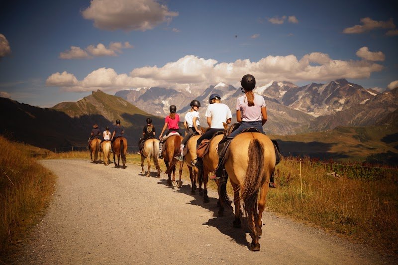 Ferme Équestre Le Chalet Des Vignobles - photo 2