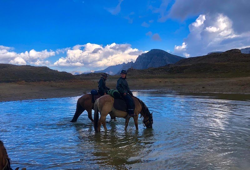 Ferme Équestre Le Chalet Des Vignobles - photo 3