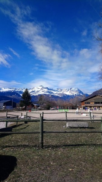 LES ECURIES DES FIZ - photo 2