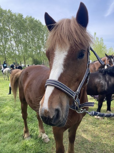 Poney-Club de Saint-Gervais