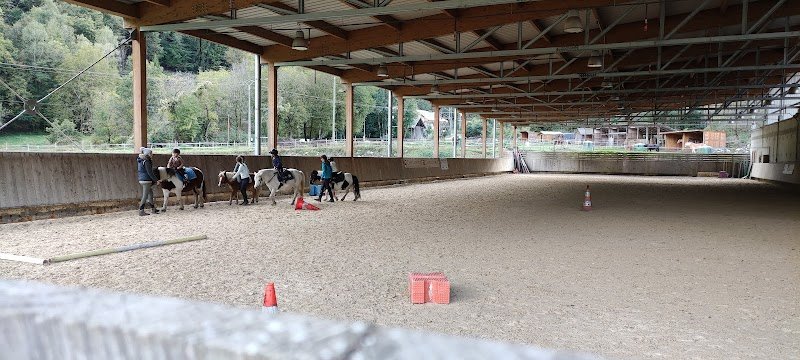 Cheval Notre Passion - photo 1