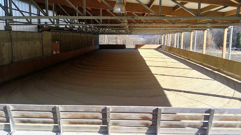 Cheval Notre Passion - photo 2