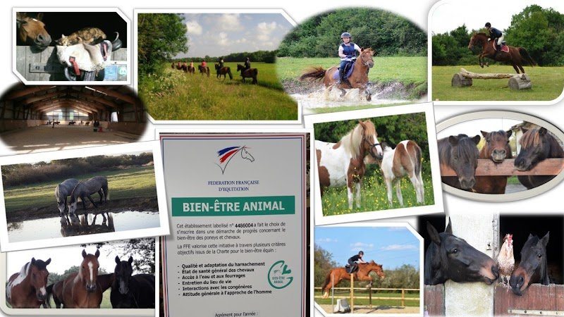 Ecurie de la Mone - photo 2