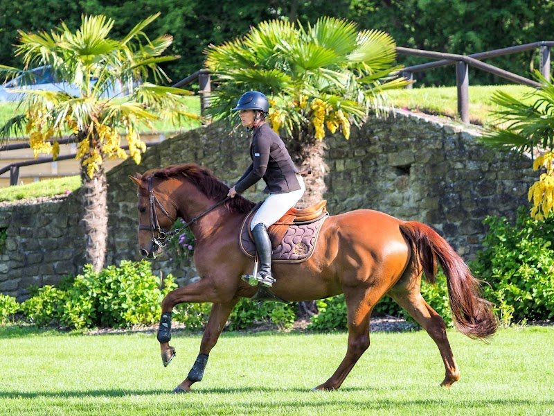 Les Ecuries Du Launay Ludovic Leygue - photo 3