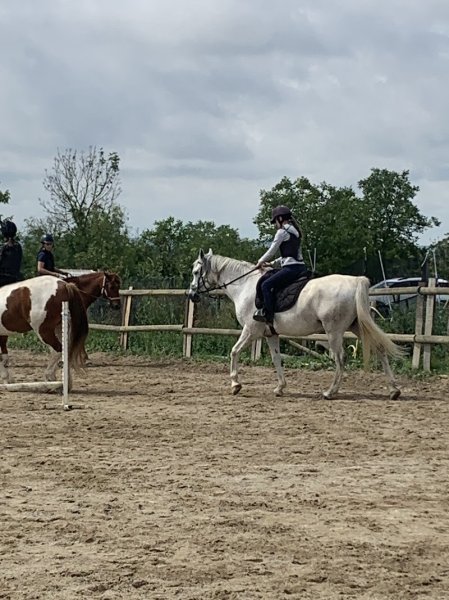 Les Poneys de Penol - photo 1