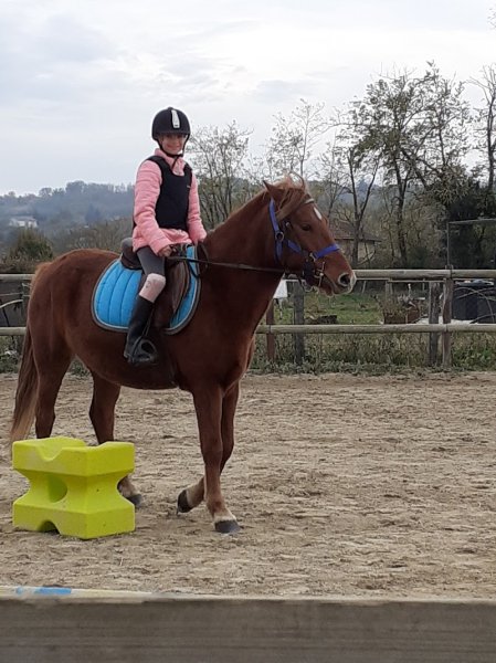 Les Poneys de Penol - photo 2