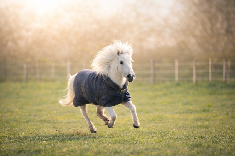 Berry Stables - photo 1