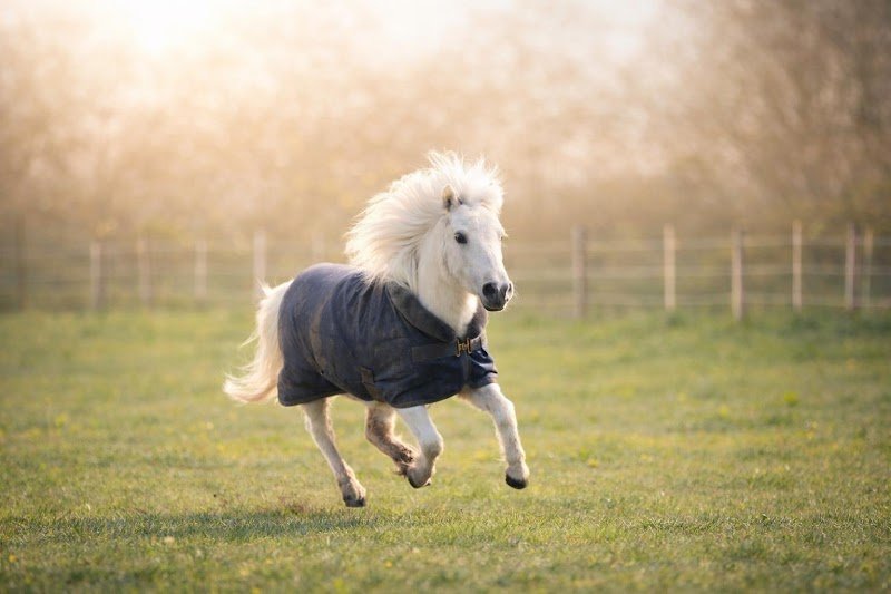 Berry Stables - photo 2