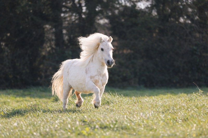 Berry Stables - photo 3