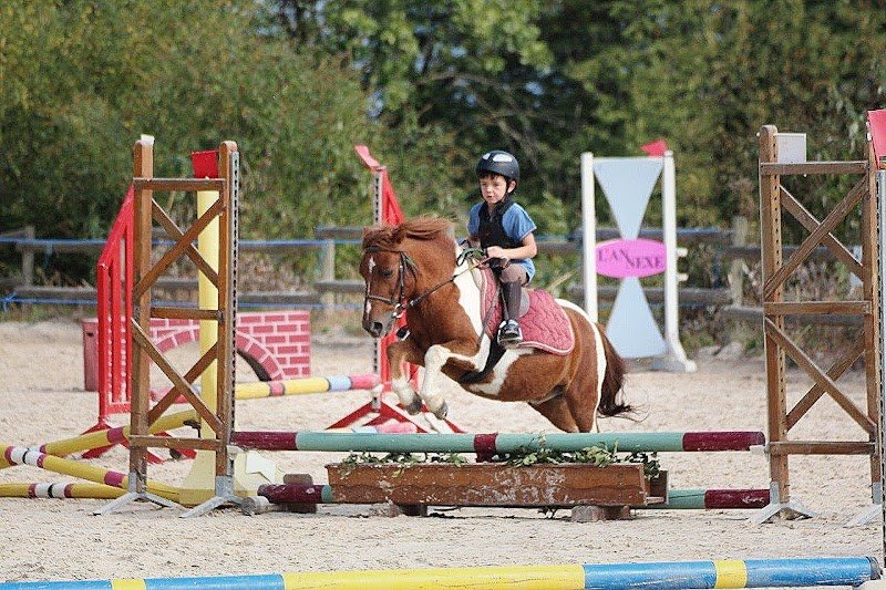 ECURIES DU FORT - photo 1